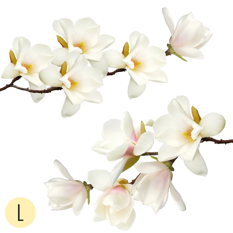 naklejki-na-sciane-magnolie-biale-50x100.webp