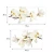 naklejki-na-sciane-magnolie-biale-50x100.webp