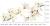 naklejki-na-sciane-magnolie-biale-50x100.webp