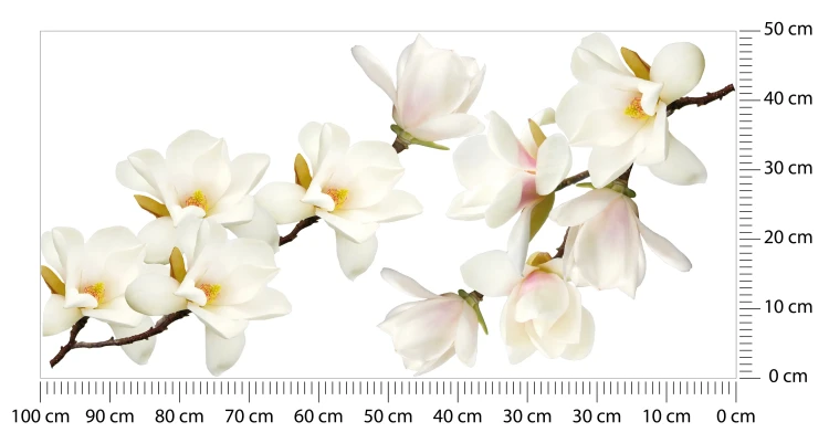 naklejki-na-sciane-magnolie-biale-50x100.webp