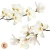 duze-naklejki-na-sciane-magnolie-100x100.webp