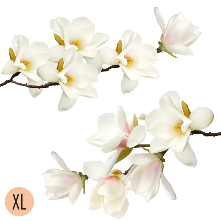 duze-naklejki-na-sciane-magnolie-100x100.webp