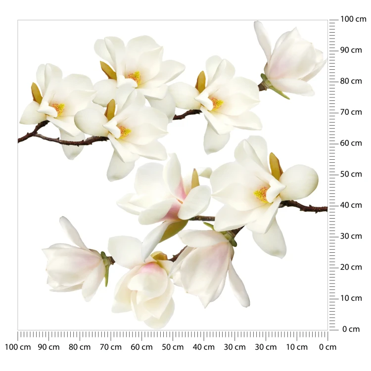 duze-naklejki-na-sciane-magnolie-100x100.webp