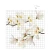 duze-naklejki-na-sciane-magnolie-100x100.webp