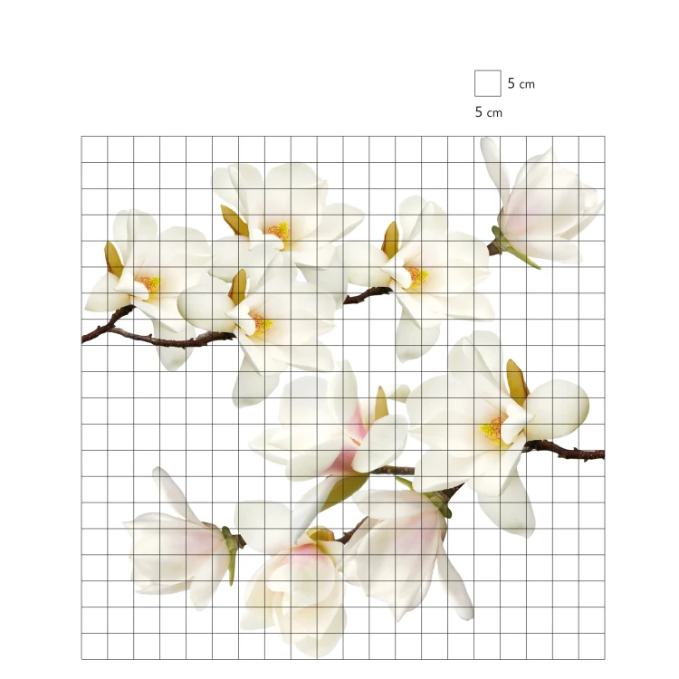 duze-naklejki-na-sciane-magnolie-100x100.webp