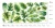 liście-na-ścianę-naklejka-monstera-arkusz-50x100-cm.webp