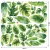 liście-na-ścianę-naklejka-monstera-arkusz-100x100-cm.webp