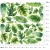 liście-na-ścianę-naklejka-monstera-arkusz-100x100-cm.webp