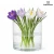 wazon-szklany-z-kwiatami-krokusy.webp